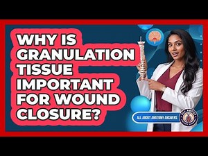 Why Is Granulation Tissue Important For Wound Closure?