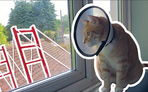 【Half-Asleep Chris】Reggie不太好