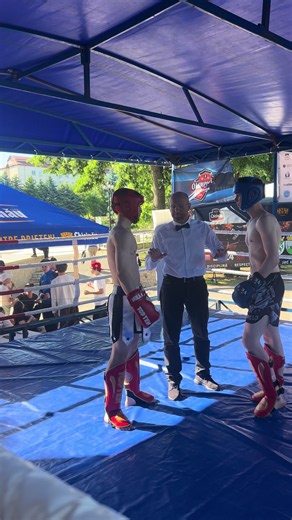 Ultimate Kickboxing Recommendations