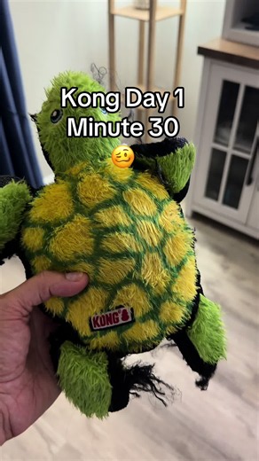 @KONG Company Tough Turtle didn’t stand a chance against Zoe. 🤦🏼‍♀️ #kong #dog #toy #rottweiler #dogsoftiktok