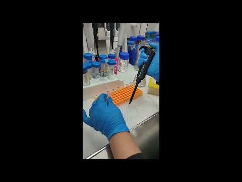 ABTS Antioxidant analysis