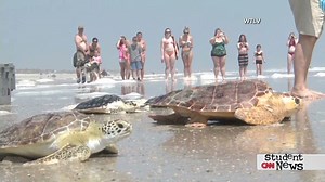 CNN Student News - 4/9/13