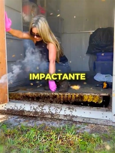 Algo Vivía Bajo El Suelo! 🐝😱 #7x7