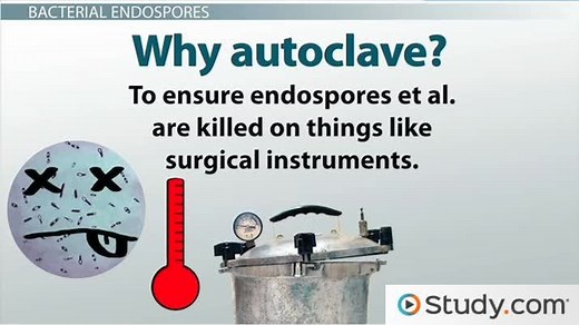 Autoclaves and Moist Heat Sterilization: Use With Surgical Tools