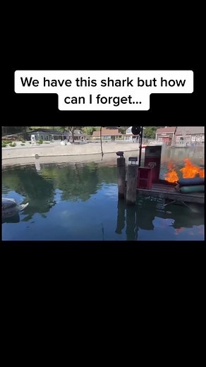 This is a love letter to Bruce the shark 🦈❤️ 🎥: @themeparkreview @Attractions @themeparkinsider #universalstudioshollywood #universalstudios #universalstudiosorlando #universalstudiosjapan #jawstheride #jaws #jawsride #bruce #bruceybruce