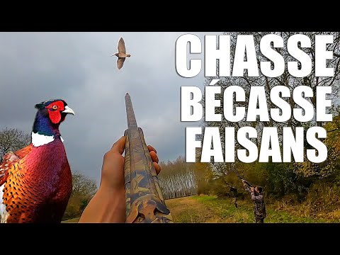 Chasser Cuisiner et Manger la BÉCASSE !