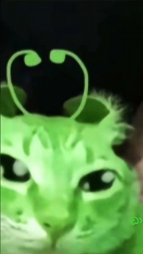 #alien #memes 𝕫𝕚𝕡 𝕫𝕚𝕡 𝕔𝕒𝕥