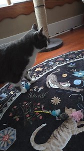 Beth Bennett on Reels