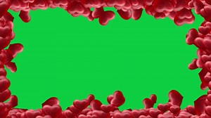 Download Beautiful red hearts, love border frame cover animation overlay on green screen background for free