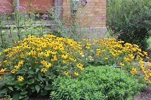 Smart Gardening Videos