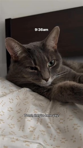 29 reactions | You can’t buy happiness, but you can get an air conditioner delivered the same day you order it from P.C. Richard & Son  | P.C. Richard & Son | Facebook