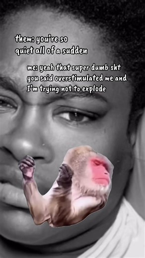 #MemeCut reel it in Einstein #simplylisa #Meme #MemeCut