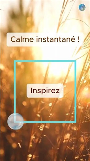 ✨Calme ton mental en 4 temps (respiration au carré)