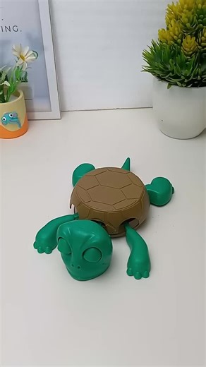 Turtle Coaster - Cute adorable turtles turtle coaster turtlecoaster fyp#viralvideo #foryou #fyp