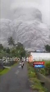 26K views · 287 reactions | #ULTIMAHORA ¡TRAGEDIA EN INDONESIA! Hace pocas horas hizo erupción el volcán Semeru, ubicado en el sureste de la provincia de Java en Indonesia, provocando pánico entre los residentes, que fueron grabados huyendo mientras a sus espaldas avanzaba una enorme nube de humo y cenizas. Noticia en desarrollo: | Pitalito Noticias | Facebook