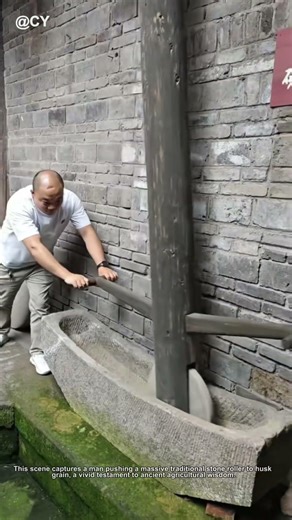 Amazing Farm Life🌾 Traditional Stone Mill Rice Husking Down↓