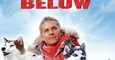 Bajo cero / Eight Below (2006)  - Ver Película Completa en Español - FULLTV