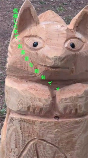 植物園でみかけました