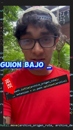 Guion Bajo en Python: ¿Qué Significa y Cómo Usarlo?