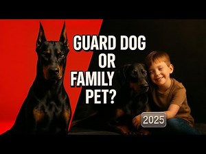 The Doberman They Don’t Want You to Know About — Guard Dog or Family Pet