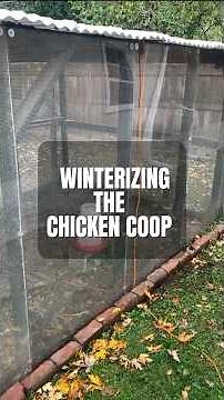 Chicken Coop Wind Block - winterizing using plexiglass panels to block the wind