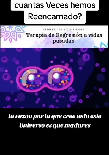 La Reencarnación y Nuestras Vidas Pasadas