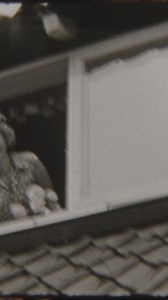 Historical facts that will distort your perception of time #historyfacts #weirdhistory #historicalfacts | Peculiar History