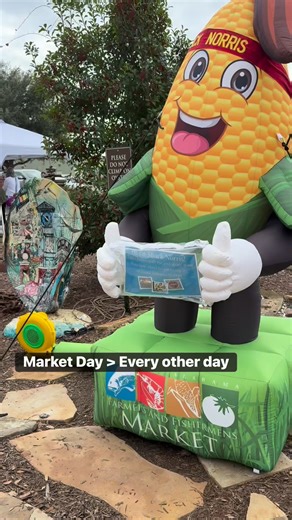 The haul was successful! 🛍️ Grabbed all the essentials at the Foley Farmers & Fishermen’s Market today. Local honey, fresh seafood, and all the greens. 🥬🦀 #farmersmarket #foley #supportlocal #localhauls #gulfcoastlife | Lenise Ligon
