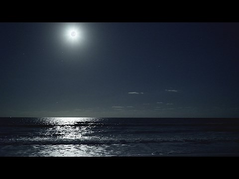 ASMR - (4K) Relaxing Night at the Beach