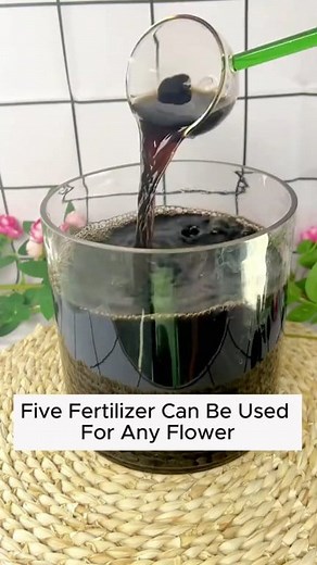 16K views · 208 reactions | 5 types of water to care for plants at home #plant #plantingtips #wateringtips #planting #tips #plantcare #plantcaretips #foryouシ | Garden and Planting Tips | Facebook