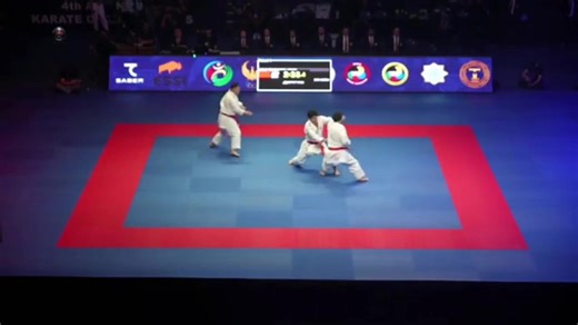 UNSU BUNKAI (JAPAN)#xuhuong #trending #nghiadungkaratedo #vothuat #karate