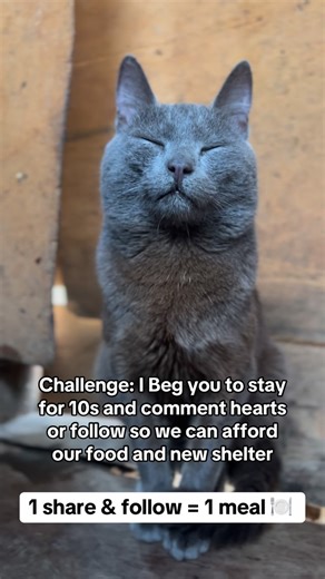 Kalibbala Patrick on Instagram: "Challenge: I Beg you to stay for 10s and comment hearts or follow so we can afford our food and new shelter. Donation link in bio"
