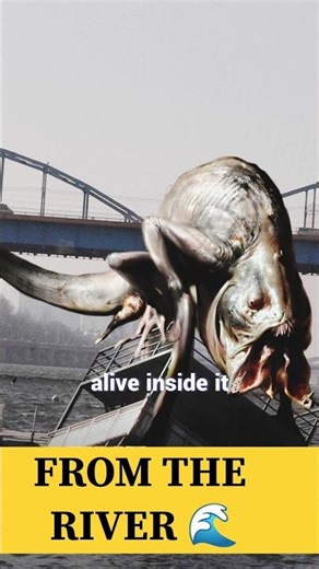 A Monster Came Out of the River 😨 | The Host Explained🤯 | #shorts #viralshorts #viralvideo #thehost