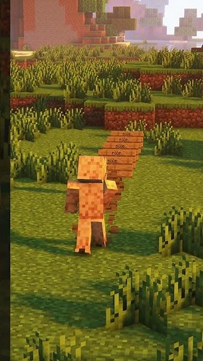 Stop Accidentally Editing Minecraft Signs!