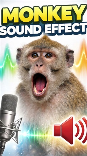 Realistic Monkey Sound Effect #monkey