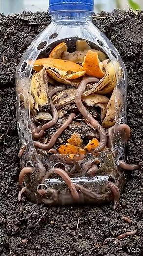 Tips for Turning Organic Waste into Odorless Fertilizer ♻️