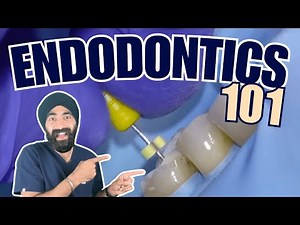 Endodontics Basics - Foundations of RCT - PS017