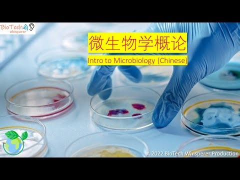 学习微生物学概论 Microbiology Explained (Chinese) 在六分钟内