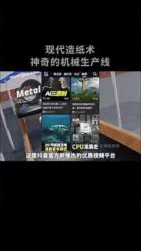 Modern Papermaking Process Revealed | How Pine and Eucalyptus Trees Become Paper