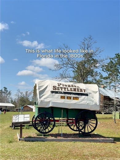 This is what life looked like in Florida in the 1800s.At the Panhandle Pioneer Settlement, historic buildings have been preserved to show how early Florida settlers lived, worked, and built their communities.From log cabins to a working blacksmith shop, come experience historic Florida. @America250FL