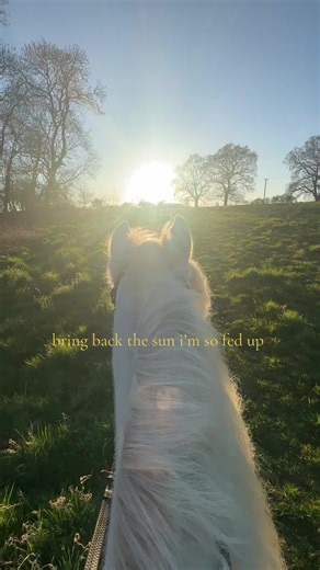 Embrace Winter Equestrian Fun with Ponies