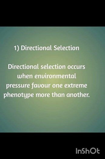 Natural Selection by Darwin (Class 12)