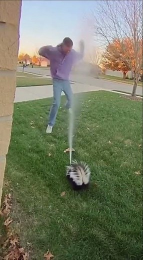 Don't Get SPRAYED by a Skunk - Learn from My Painful Experience!