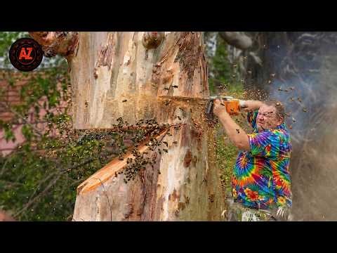 Idiots With Chainsaws: Tree Cutting Fails | Extreme Dangerous Logging Truck Fails #17