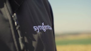 Good quality seeds are incredibly important for farmers, so it is crucial they can thrive from the moment they are planted. At Syngenta, our seedcare technologies, like root scanning, are based on the most innovative science and are targeted against new plant diseases, evolving pests and climate change. | Syngenta