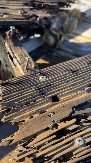 1.3M views · 5K reactions | Can Stainless Steel Screws beat salt water?? #howto #repurposed | Piney Grove Homestead and Mini Farm | Facebook