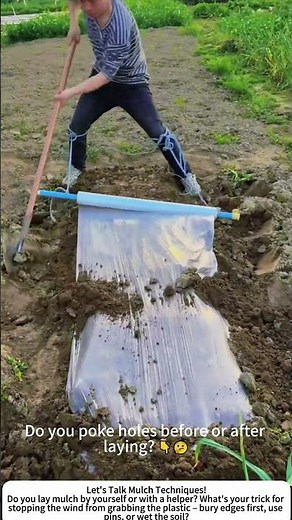 Smart Vegetable Mulch Laying – One Person, Simple Trick 🥬📐