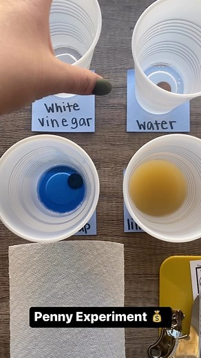 15K views · 20 reactions | Kids LOVE real money!  So why not try an experiment with real pennies! Comment PENNY for the link to this experiment on ETTC Premium! | Education to the Core | Facebook