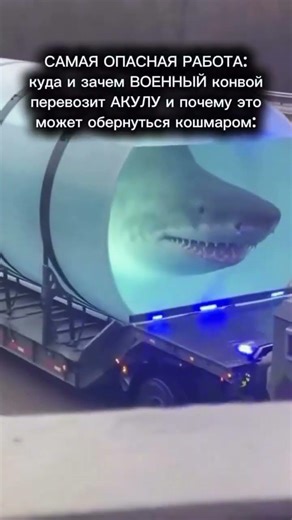 Читай описание ⬇️