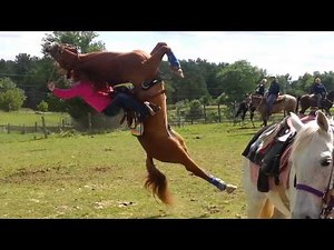 Horse flips on rider